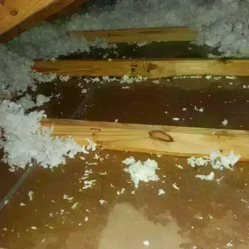 Attic Water Damage in Washington County, MO