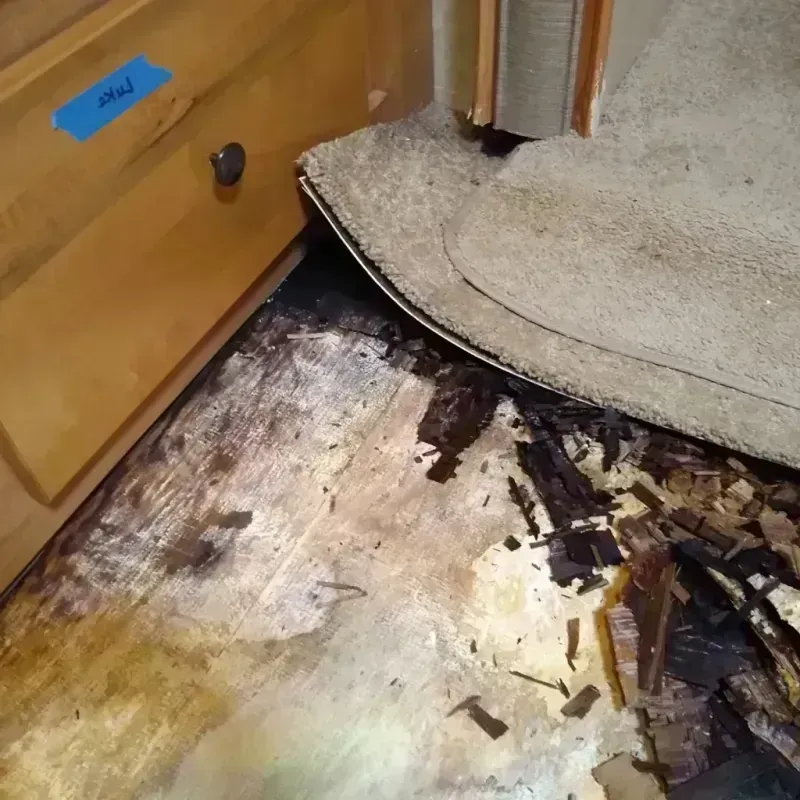 Wood Floor Water Damage in Washington County, MO